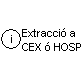 Extracció a CEX - Hospital